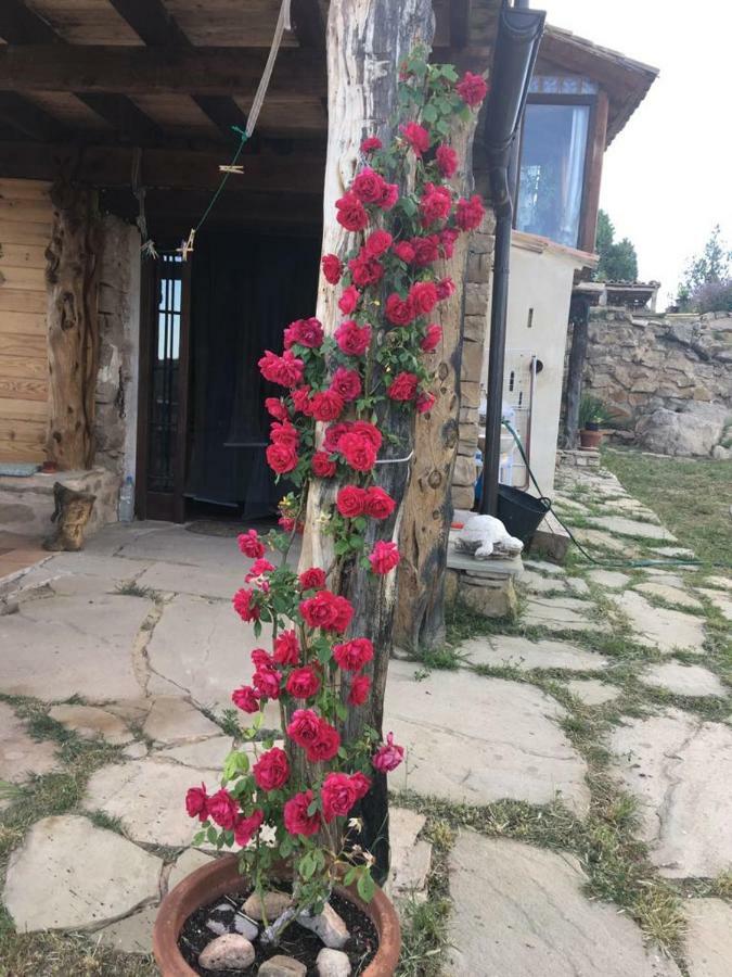 Monolocal Rural Con Encanto Valbona 외부 사진